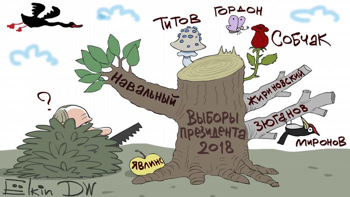 Путин с пилой возле дерева, на ветках которого имена кандидатов в президенты, в том числе Навального, Собчак, Жириновский итд.