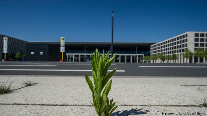 Wildwuchs am Hauptstadtflughafen Berlin Brandenburg (BER)