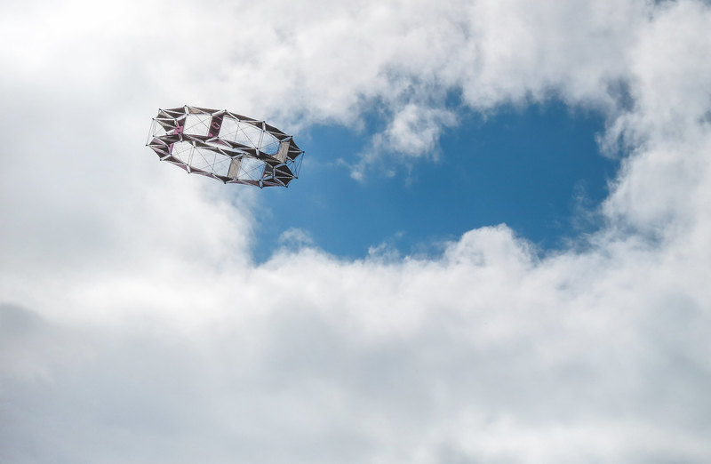 Ring Kite, 2013